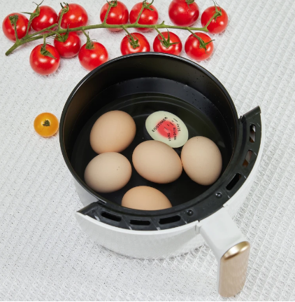 Egg Boiling Indicator