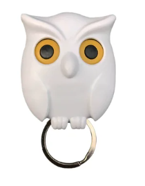 Owl Key Holder