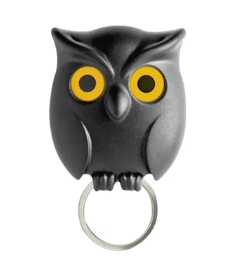 Owl Key Holder