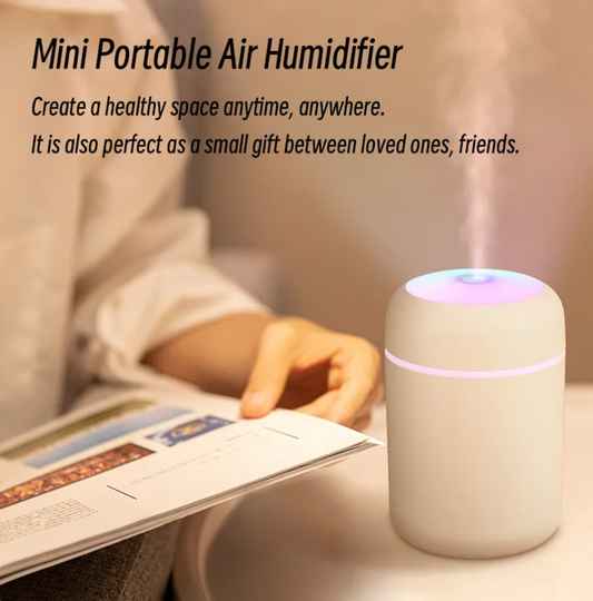 H2O Air Humidifier