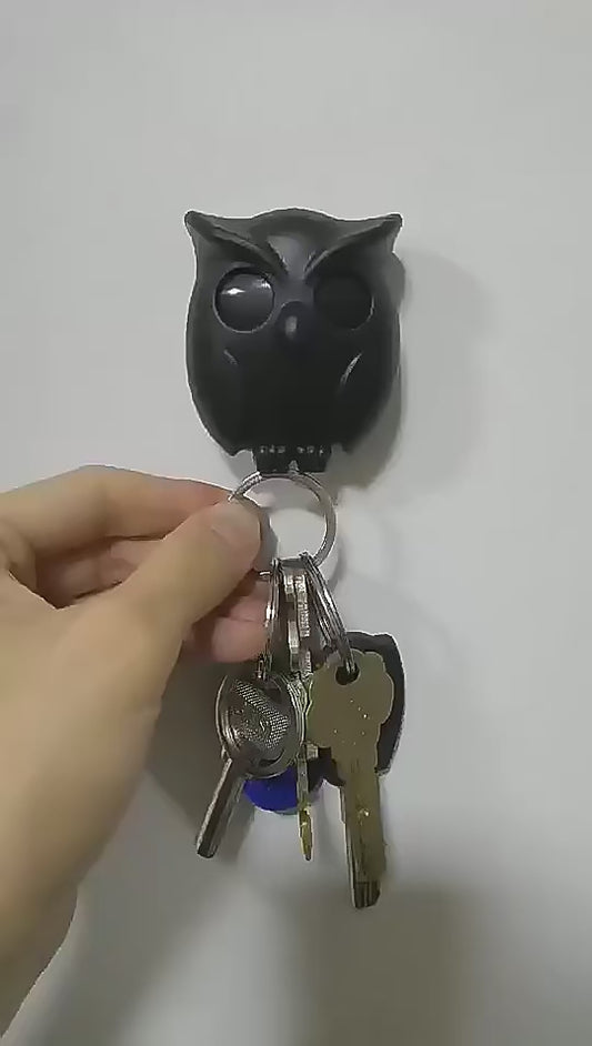 Owl Key Holder